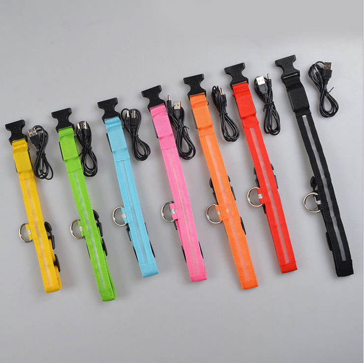 LED Night Safety Collar for Dogs