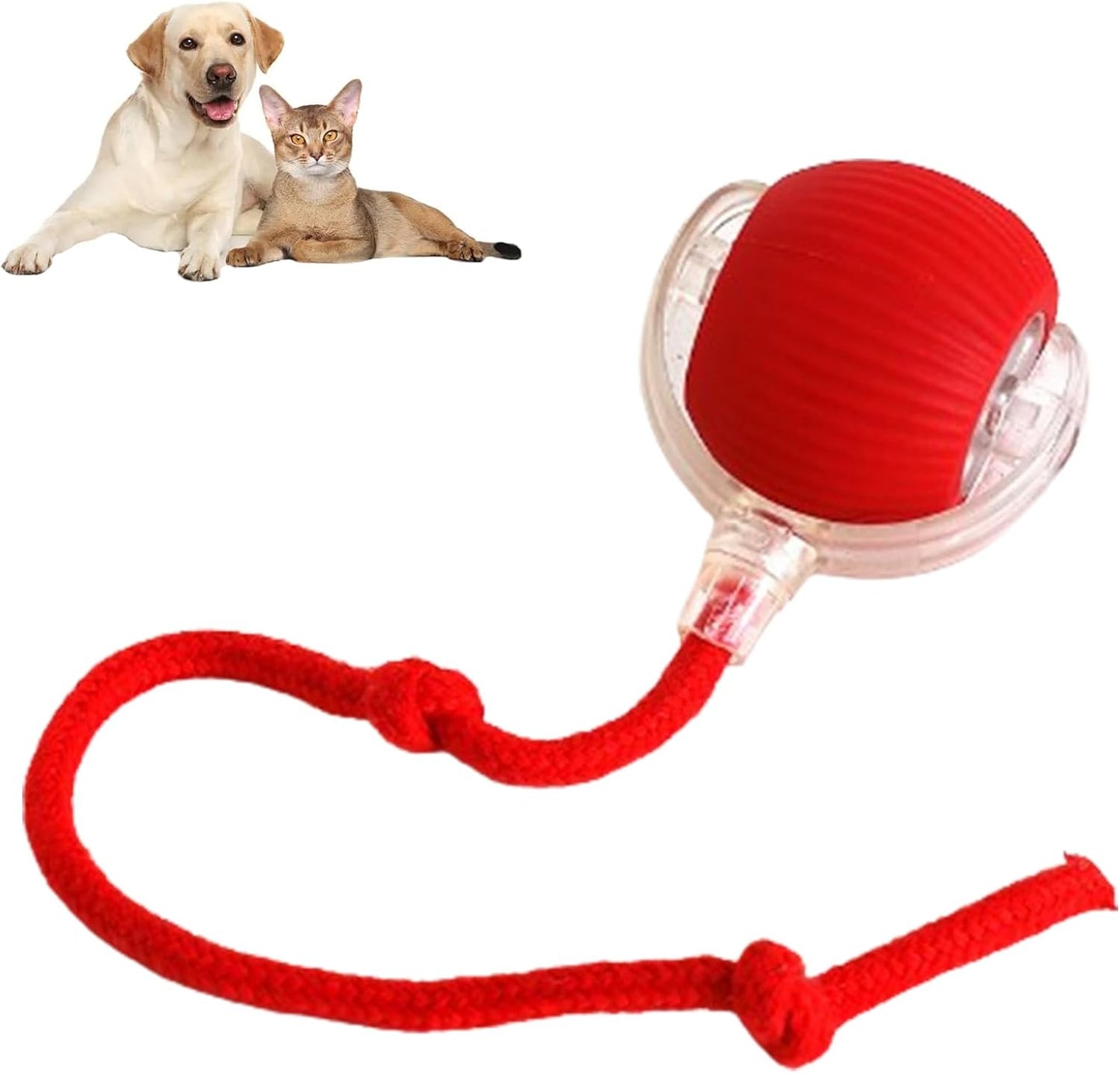 Self-Rolling Interactive Ball Toy for Cats & Dogs