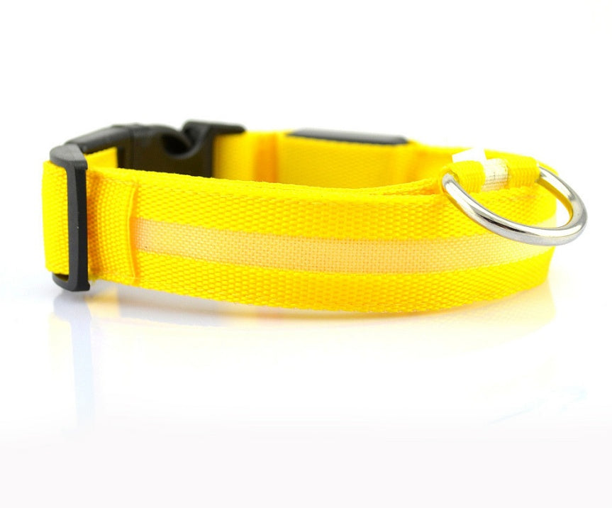 LED Night Safety Collar for Dogs