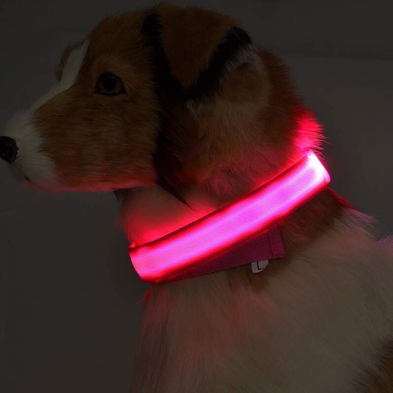 LED Night Safety Collar for Dogs