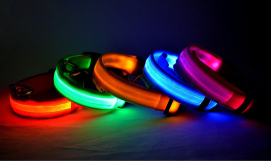 LED Night Safety Collar for Dogs