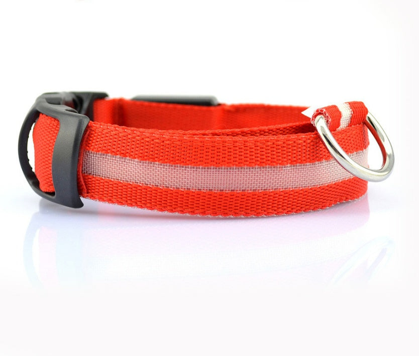 LED Night Safety Collar for Dogs