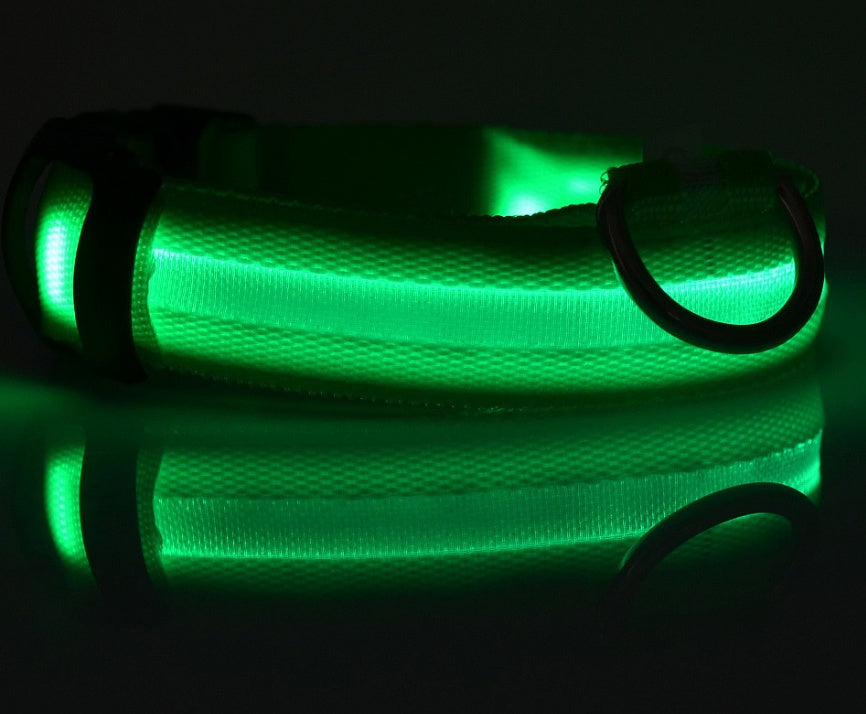 LED Night Safety Collar for Dogs