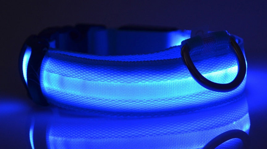 LED Night Safety Collar for Dogs