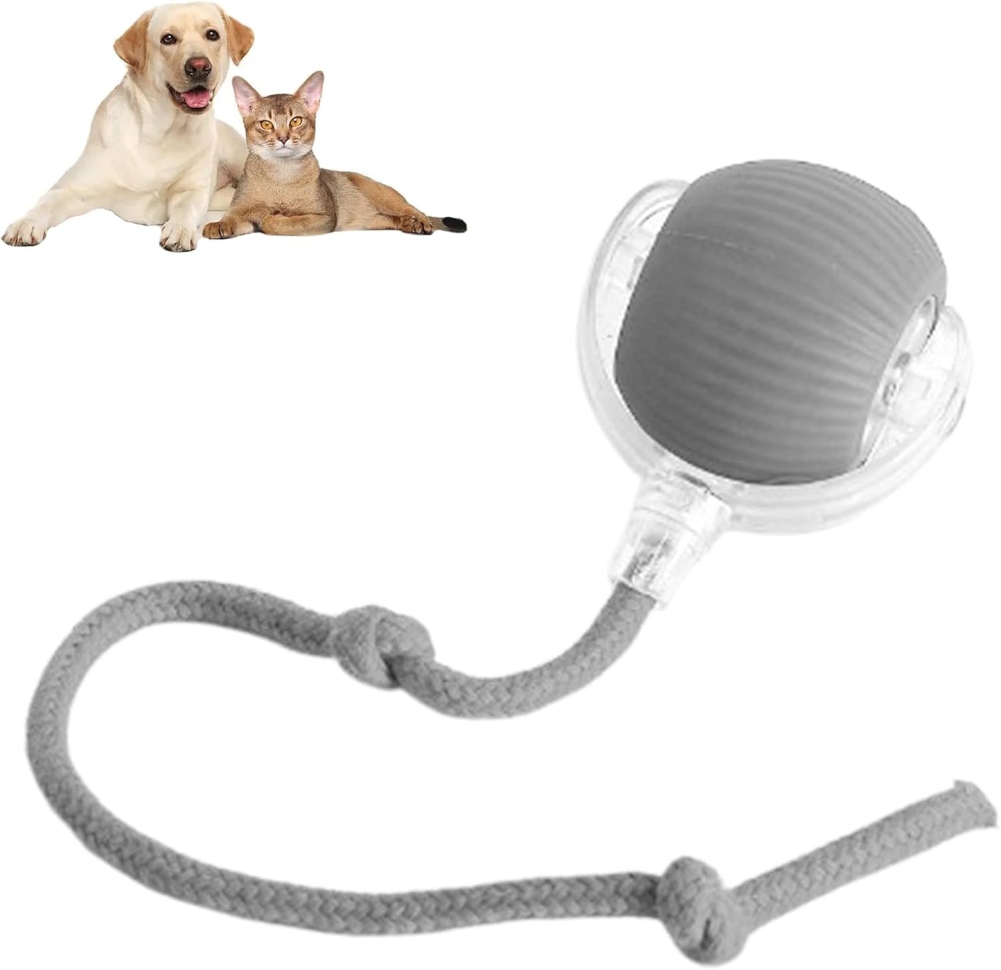 Self-Rolling Interactive Ball Toy for Cats & Dogs