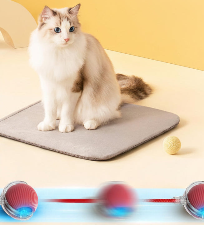 Self-Rolling Interactive Ball Toy for Cats & Dogs