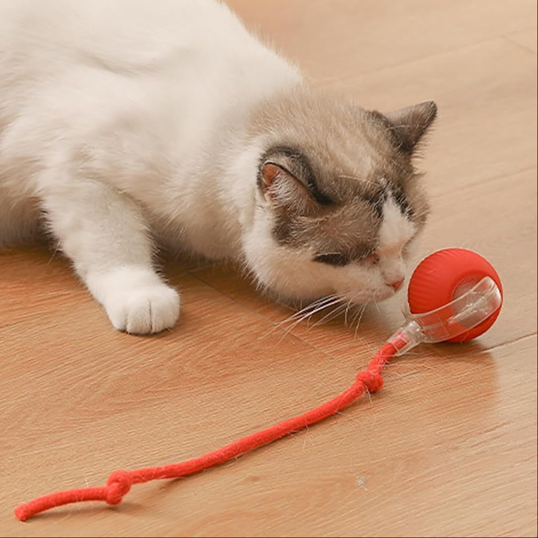 Self-Rolling Interactive Ball Toy for Cats & Dogs