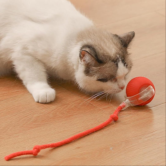 Self-Rolling Interactive Ball Toy for Cats & Dogs