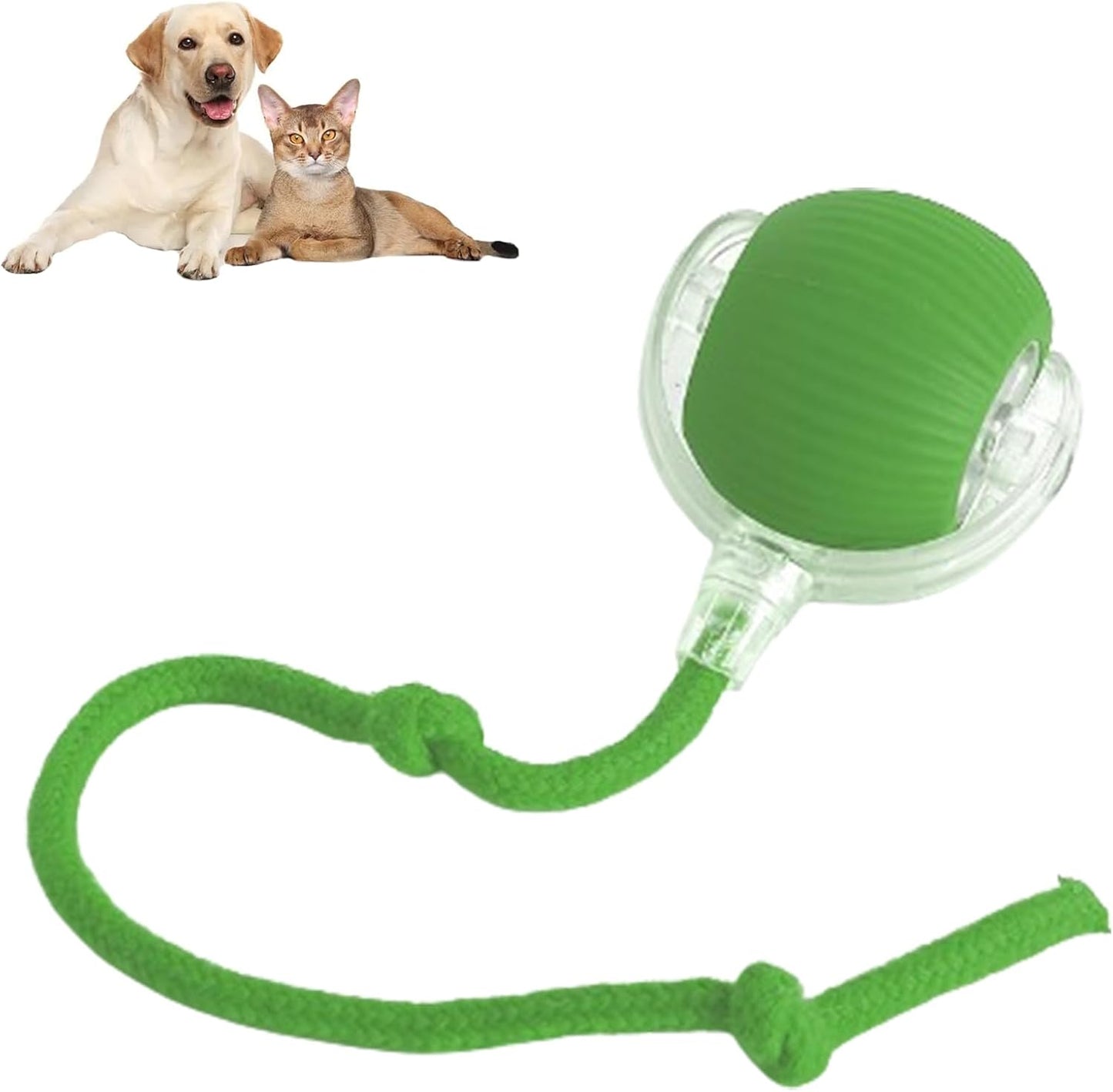 Self-Rolling Interactive Ball Toy for Cats & Dogs